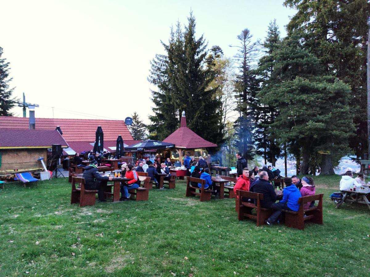 Brunarica Planika Mtb Point Maribor Eksteriør bilde
